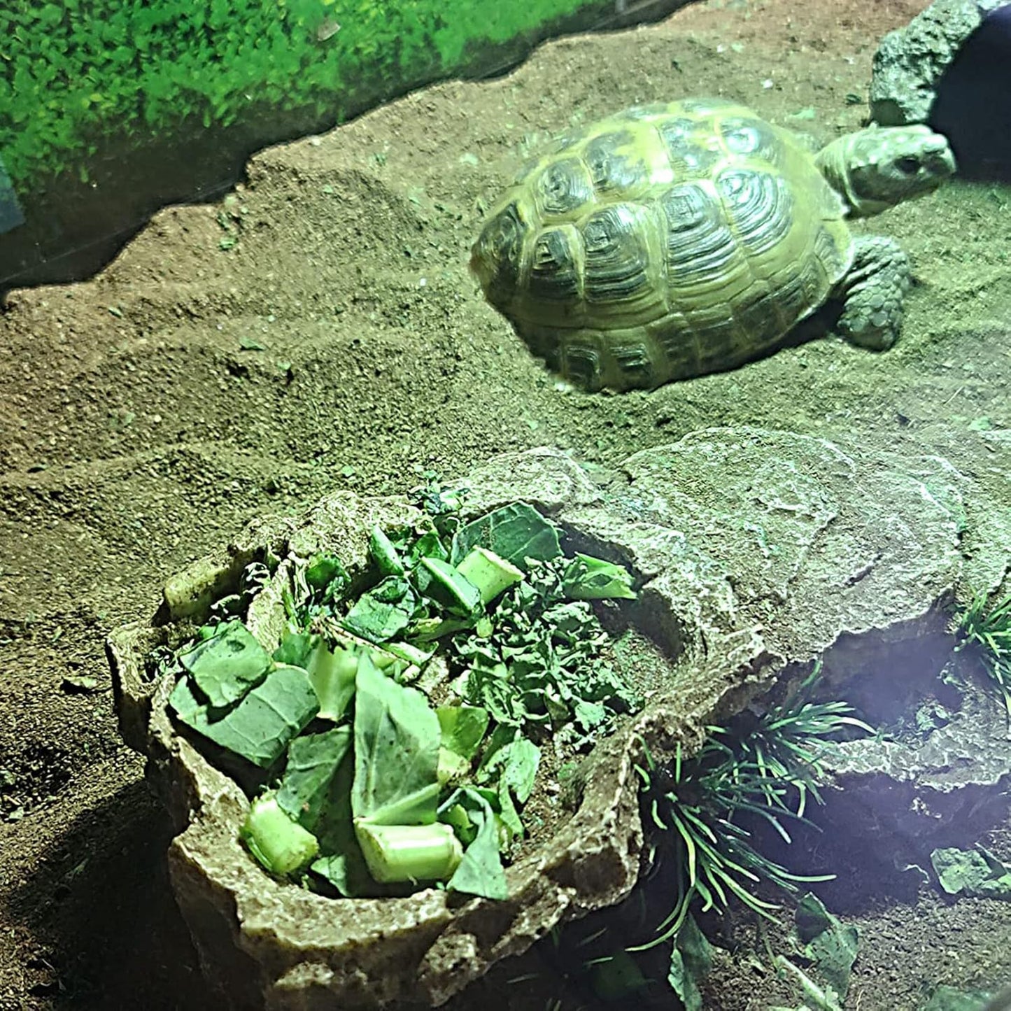 kathson Turtle Basking Platform,Tortoise Resin Climbing Rock Rectangular Resting Terrace Tank Accessories,Reptiles Dock Hide Cave Habitat Decoration for Bearded Dragon Lizard Geckos Spiders (3 PCS)