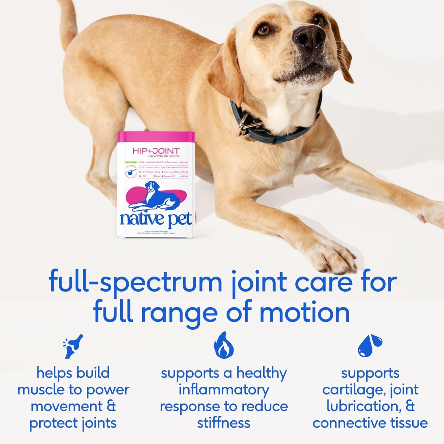 Native Pet Advanced Care - Hip & Joint Supplement for Dogs - Supports Joints, Cartilage, Muscles & Anti-Inflammatory with HMB, UC-II Collagen, Green Lipped Mussel & Hyaluronic Acid - 60 Scoops
