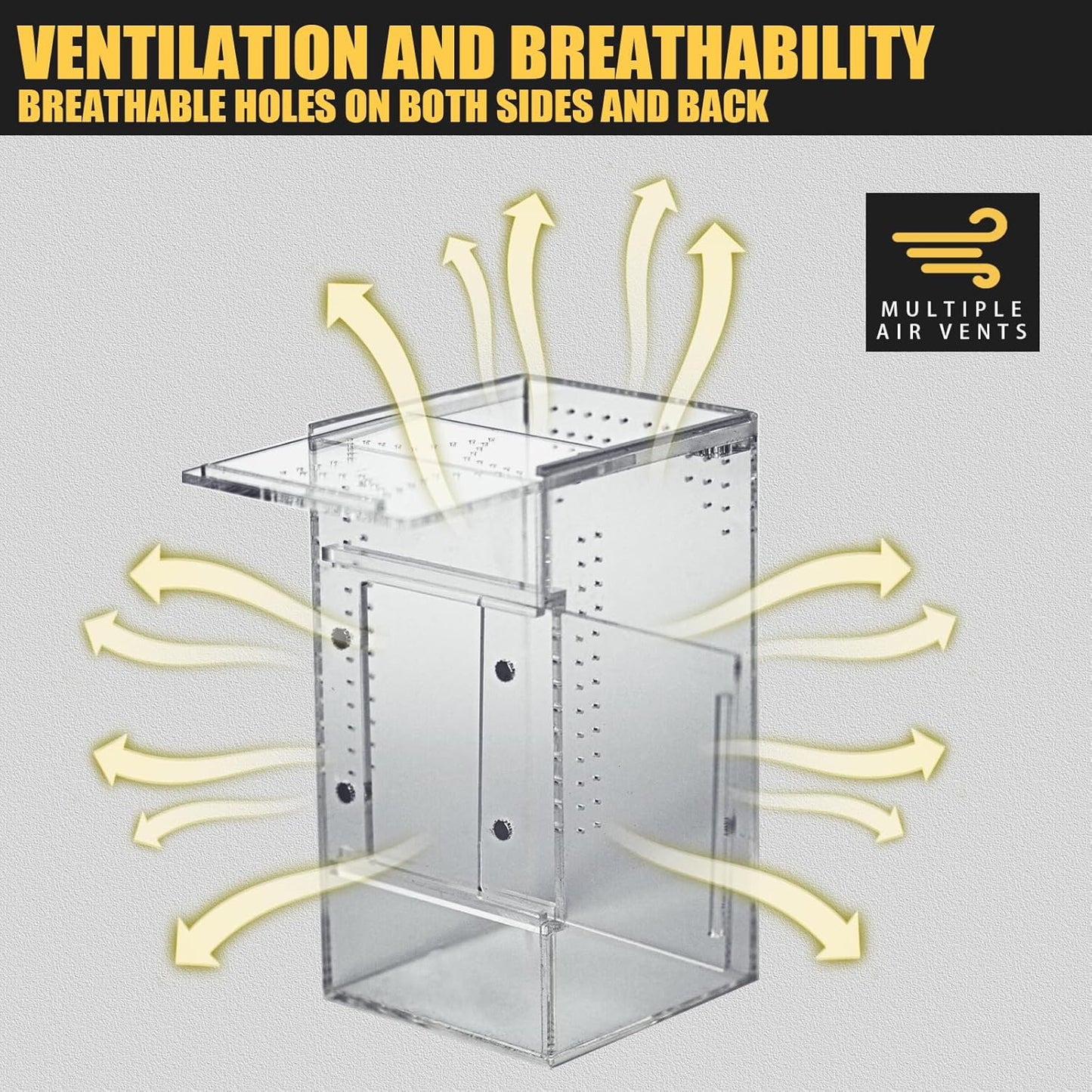 Small Reptile Terrarium – Jumping Spider Enclosure with Water-Holding Design – Spider & Tarantula Enclosure, Praying Mantis Habitat, Reptile Enclosure & Accessories