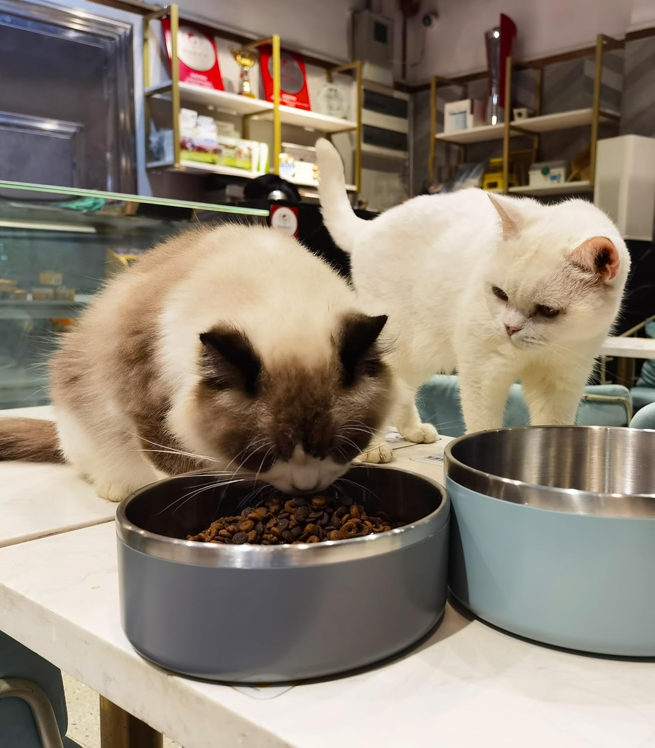 Dog Bowl, Stainless Steel Dog Food and Water Bowl with Non Slip Quiet Bottom, Easy to Clean, Dishwasher Safe, 40oz, Deep Grey