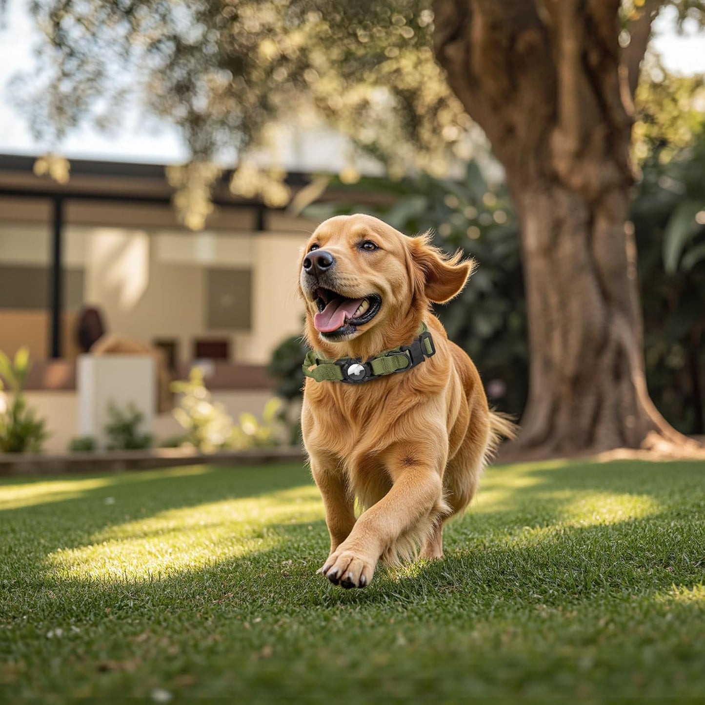 Tactical AirTag Dog Collar - Heavy Duty, Adjustable GPS Collar Compatible with Apple AirTag, with Holder & Control Handle for Medium/Large Dogs [ Green, M ]
