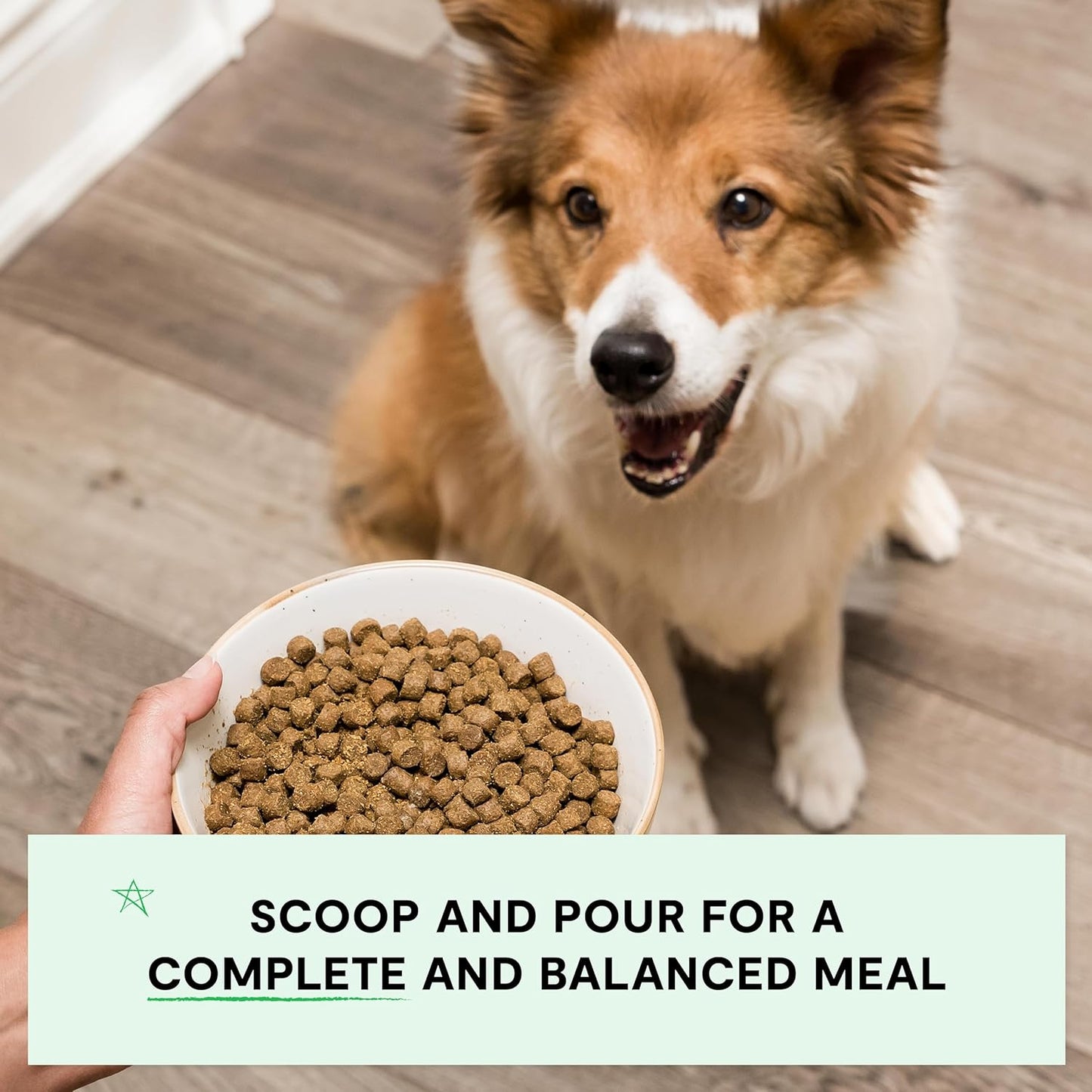 Open Farm, Grain-Free Dry Dog Food, Complete & Balanced Kibble, Sustainably & Ethically Sourced Ingredients, Non-GMO Veggies & Superfoods to Support Overall Health, Pork Recipe, 11lb Bag