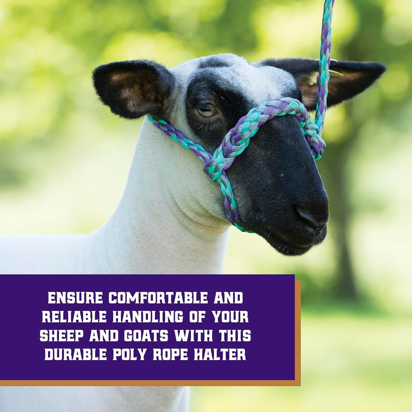 Weaver Leather Poly Rope Sheep Halter, Mint/Black/Gray