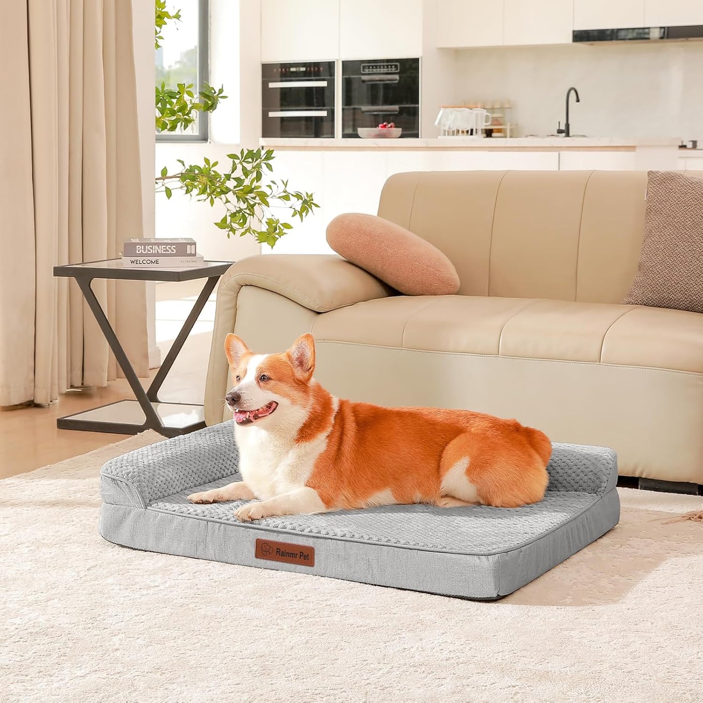Orthopedic Dog Bed, 3 Inch Memory Foam Dog Beds for Large Dogs, Washable Removable Cover, Nonskid Bottom, Waterproof Pet Couch for Indoor, Outdoor or Car Use, 41x27 Inches XL Light Grey