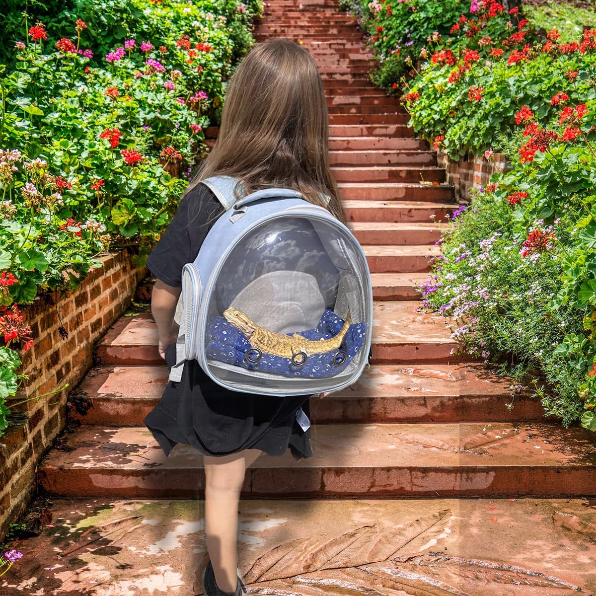 Bearded Dragon Backpack Carrier,Reptile Portable Backpack Carrier,Space Capsule Clear Bubble Window Travel Backpack for Lizard Travel,Guinea Pig,Rabbit(Blue, Backpack)
