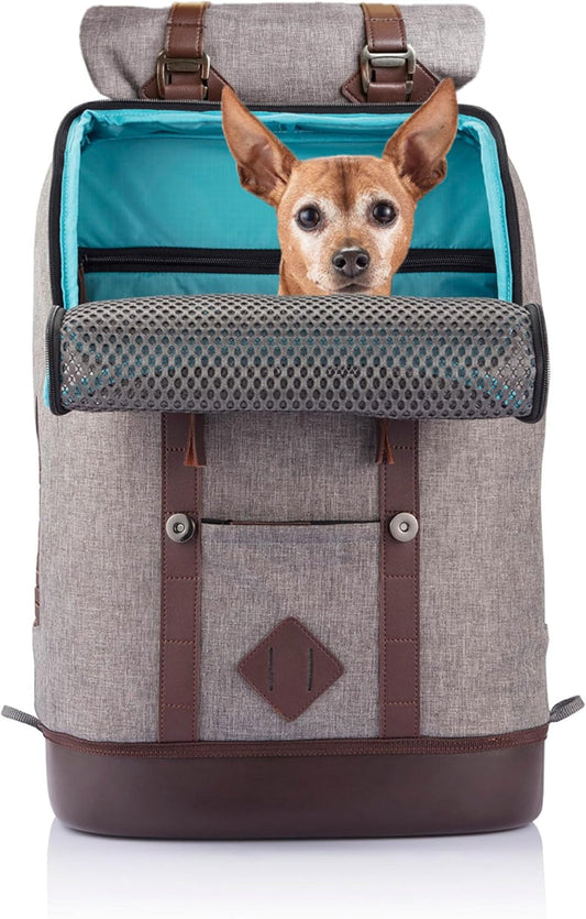 Kurgo Dog Carrier Backpack for Small Pets - Dogs & Cats | TSA Airline Approved | Cat | Hiking or Travel | Waterproof Bottom | G-Train | Ruck Sack | Heather Grey