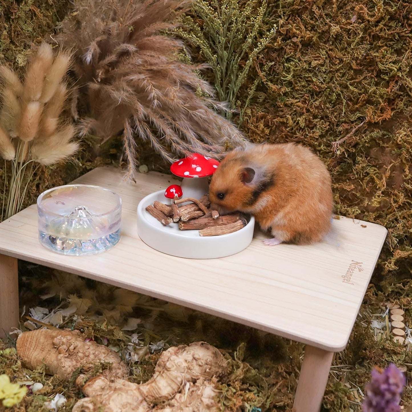 Niteangel Hamster Snack & Treats Toy - Small Animal Natural Treat for Dwarf Syrian Robo Hamsters Gerbils Mice Lemmings Degus or Other Small-Sized Pets