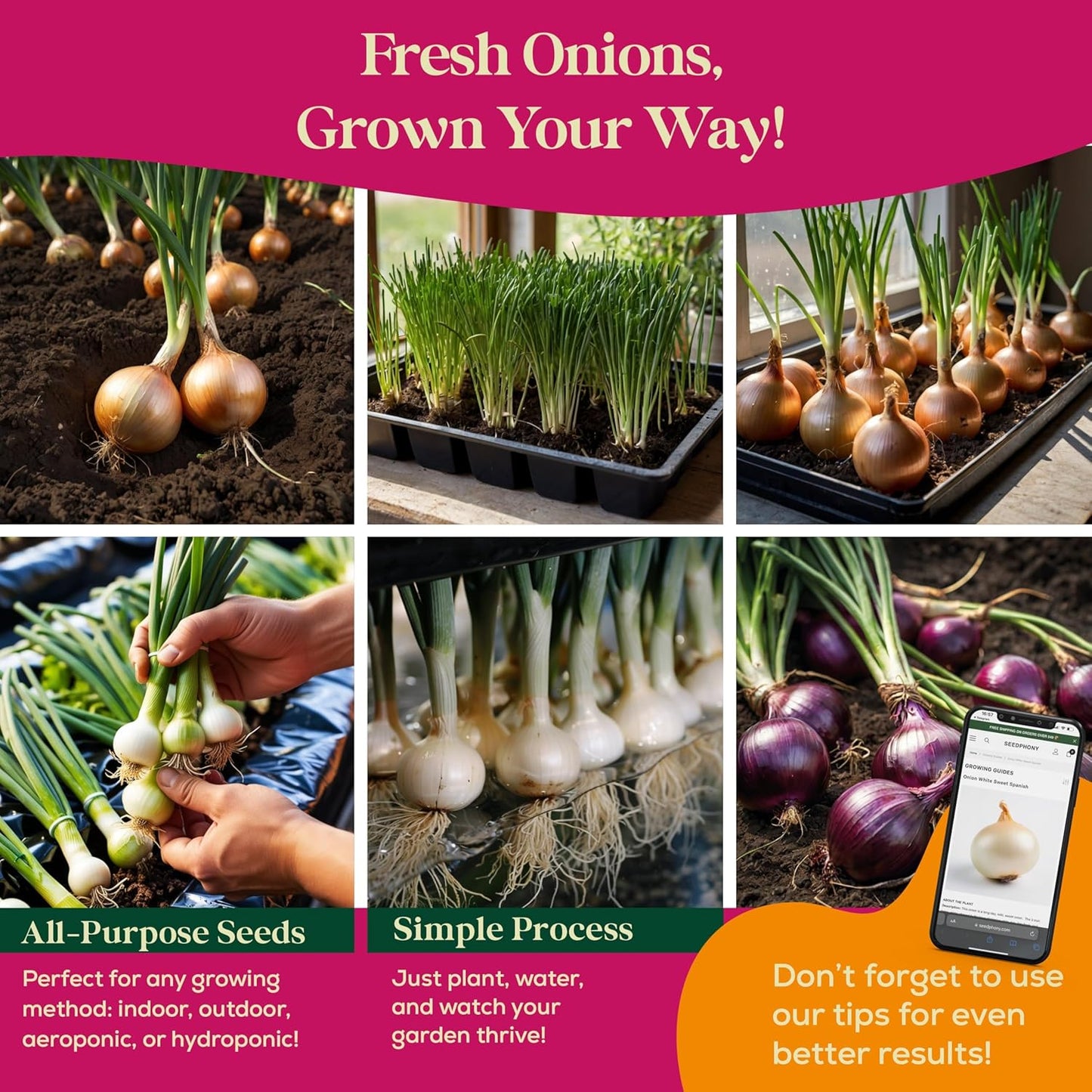 10 Gourmet Onion Seeds for Planting Variety Pack - 2,900+ Non-GMO Heirloom Vegetable Seeds for Growing Indoor & Outdoor: Red Burgundy, Leek, Walla Walla, Grano White & Yellow Sweet Spanish