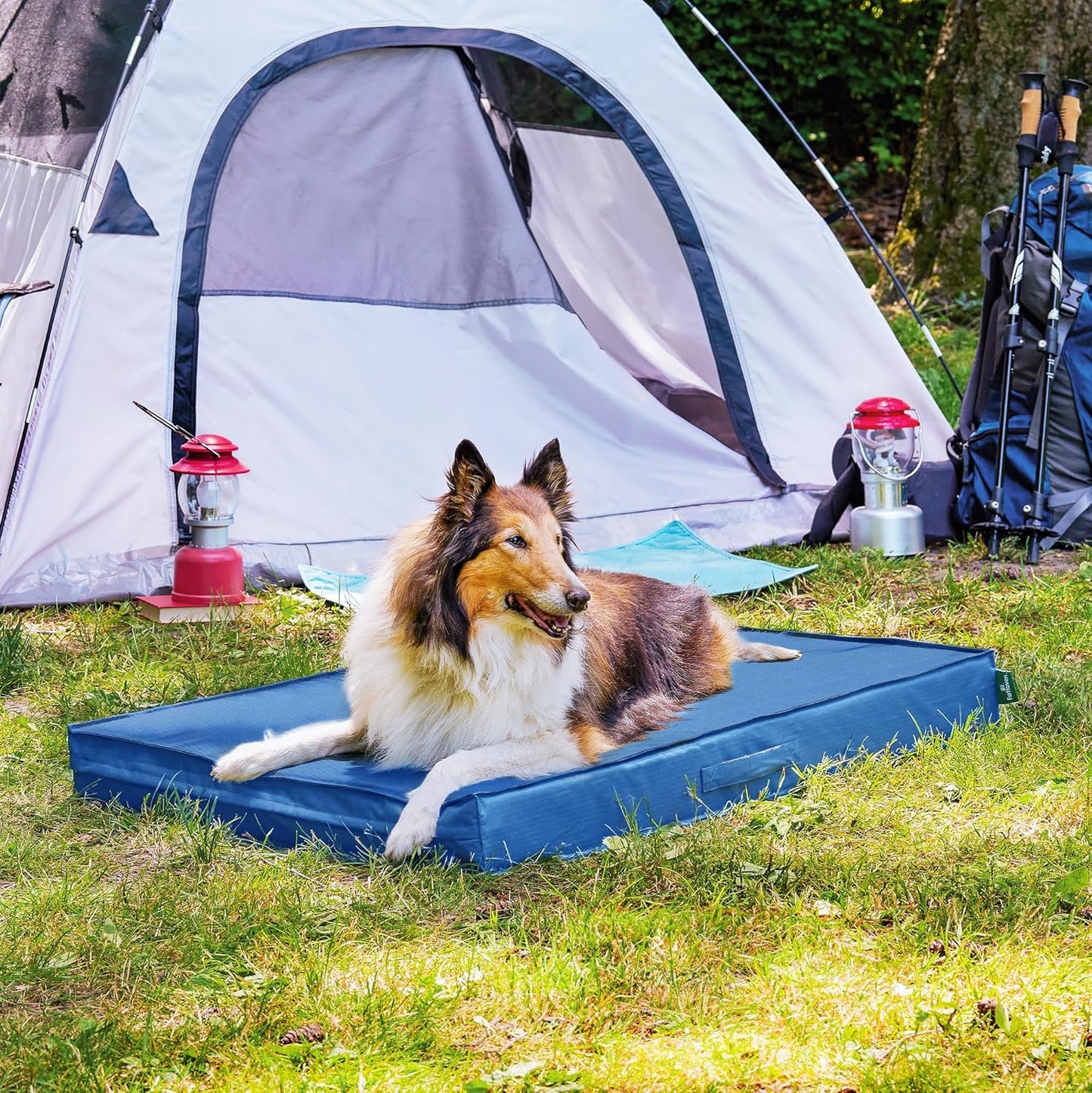 FurHaven Cooling Dog Bed – XL Foam Mattress for Joint Pain Relief, Waterproof Liner, Removable Washable Cover, Durable for Outdoor Use, Deluxe Grid Indoor/Outdoor Bed – Blue, Jumbo