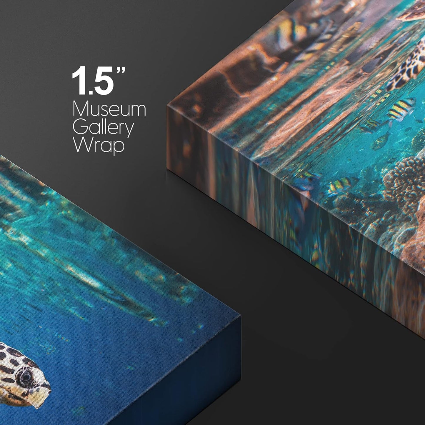 wall26 Canvas Print Wall Art Tropical Turtle Coral Reef Deep Sea Dive Nature Animals Photography Realism Rustic Scenic Landscape Wilderness Earth Colorful for Living Room, Bedroom, Office - 32"x48"