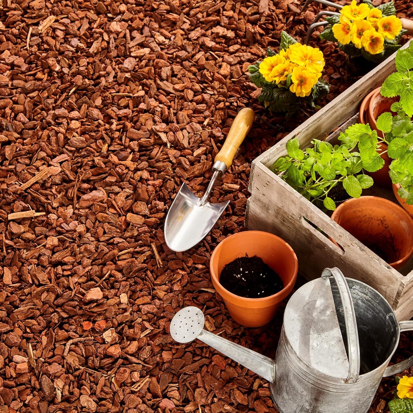 Premium Pine Bark Nuggets – Pine Bark Mulch for Gardens, Landscaping, Potted Plants, and Wood Chips for Garden Beds (1 CF - 28 L - 30 QTS)