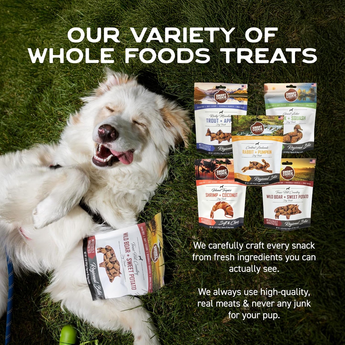 Smart Cookie All Natural Soft Dog Treats - 5 Flavor Variety Pack (5oz Each) - Healthy Dog Treats for Dogs & Puppies with Allergies, Sensitive Stomachs - Chewy, Grain Free, Made in USA