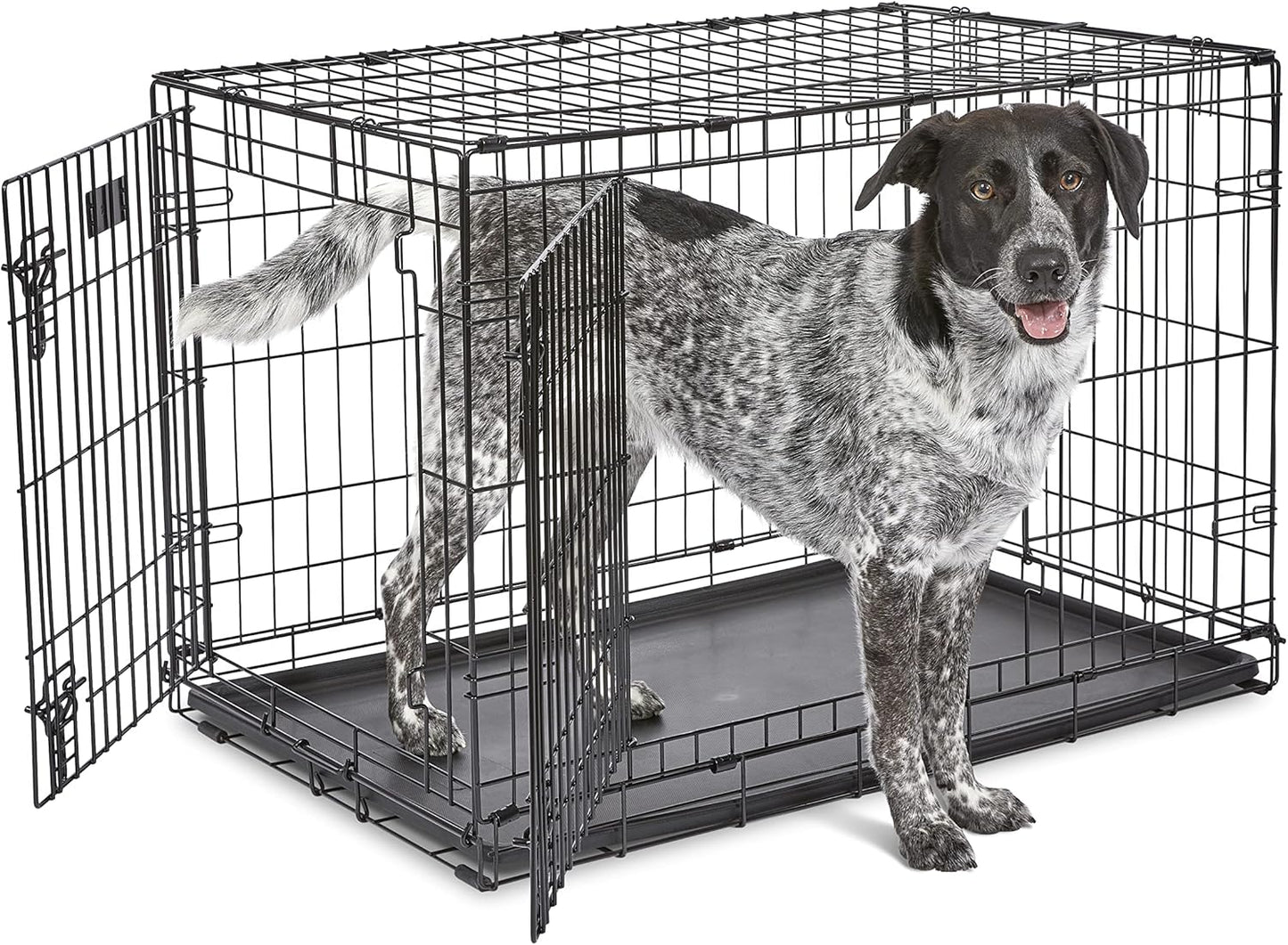 MidWest Homes for Pets 36-Inch Two-Door iCrate Folding Dog Crate with Divider Panel, Leak-Proof Tray & Secure Latches – Metal Wire Kennel for M-L Breeds – Portable, Durable & Easy to Assemble