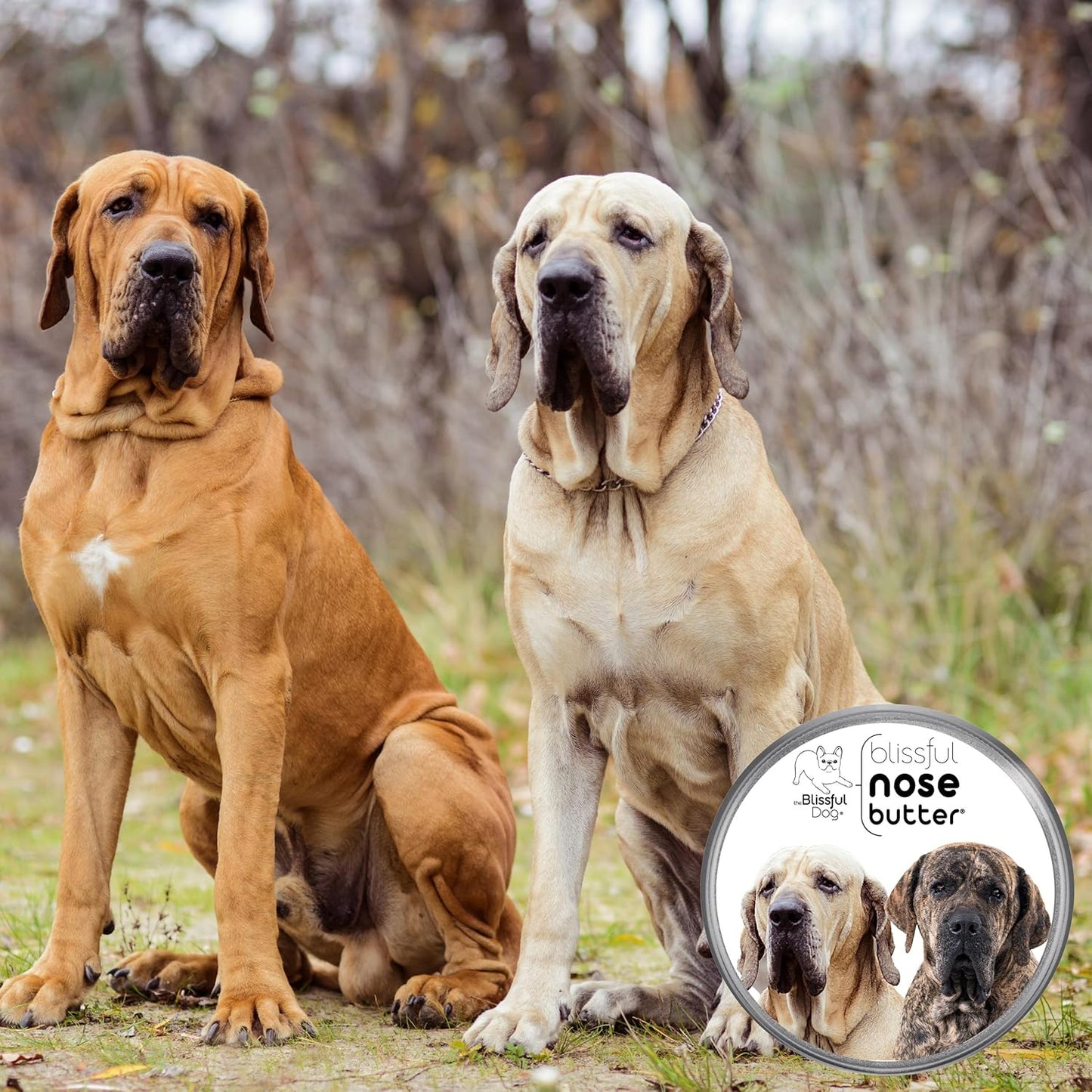 The Blissful Dog Fila Brasilerio Unscented Nose Butter - Dog Nose Butter, 4 Ounce