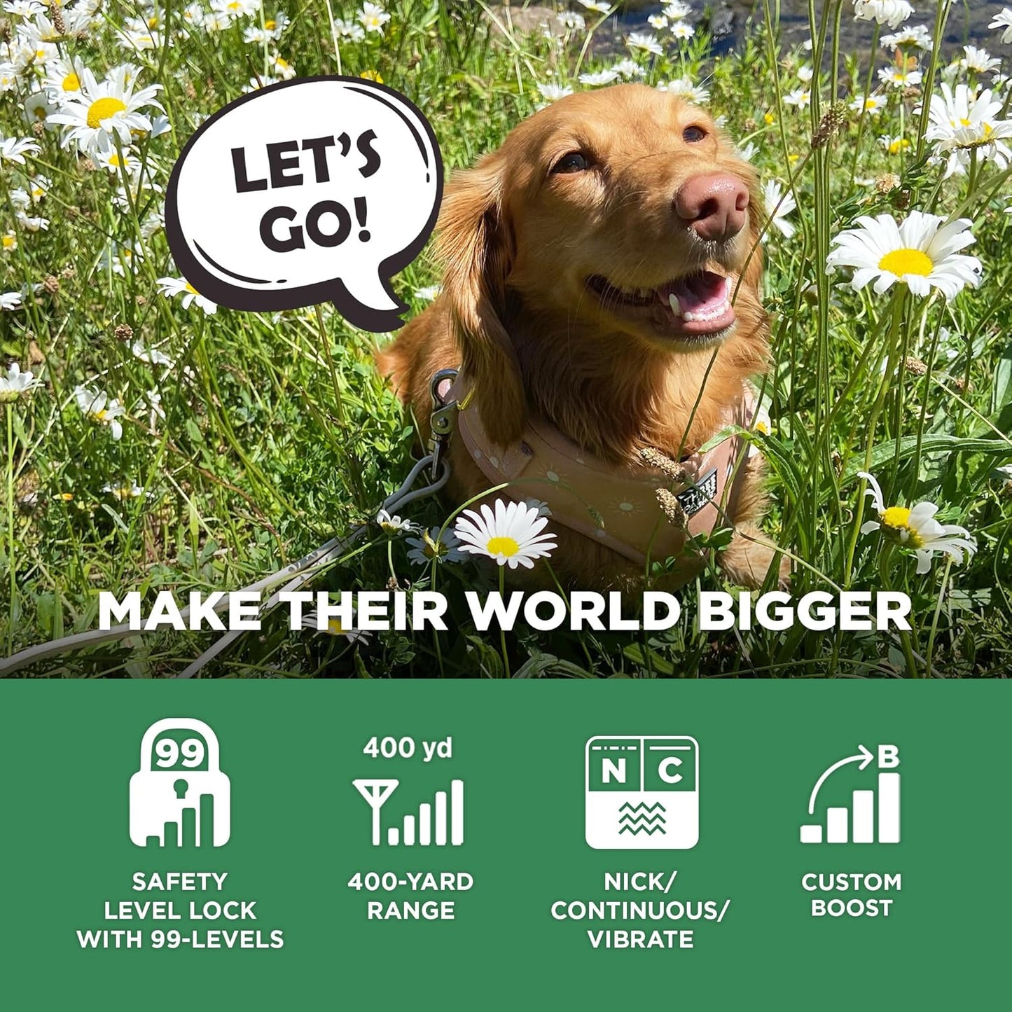 Dogtra CUE Gen 2 Tan – Customizable E-Collar for Dogs Training Collar with Remote – Easy, Safe, Beginner-Friendly Design – 99 Levels, Vibration, Boost, Waterproof, Rechargeable, 400-Yard Range