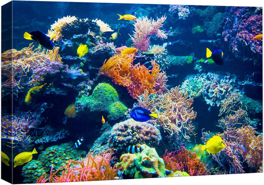 wall26 Canvas Print Wall Art Vibrant Multicolor Coral Reef Fish Ecosystem Nature Animals Photography Realism Rustic Scenic Landscape Wilderness Colorful for Living Room, Bedroom, Office - 32"x48"