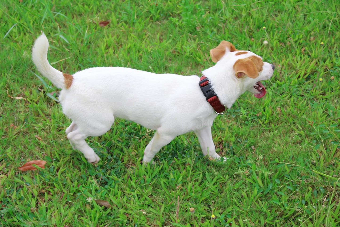 Mikivery Nylon Dog Collar with Quick Release Buckle Soft Adjustable Sturdy for Small Medium Large Dogs Brick,L