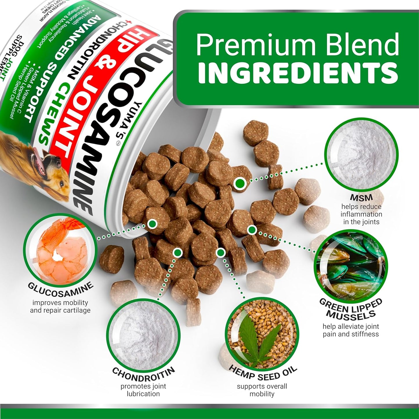 YUMA'S Glucosamine for Dogs - Hip and Joint Supplement for Dogs - 170 Ct - Glucosamine Chondroitin Chews - Joint Pain Relief Supplement with MSM - Advanced Health - Mobility Support - Made in USA