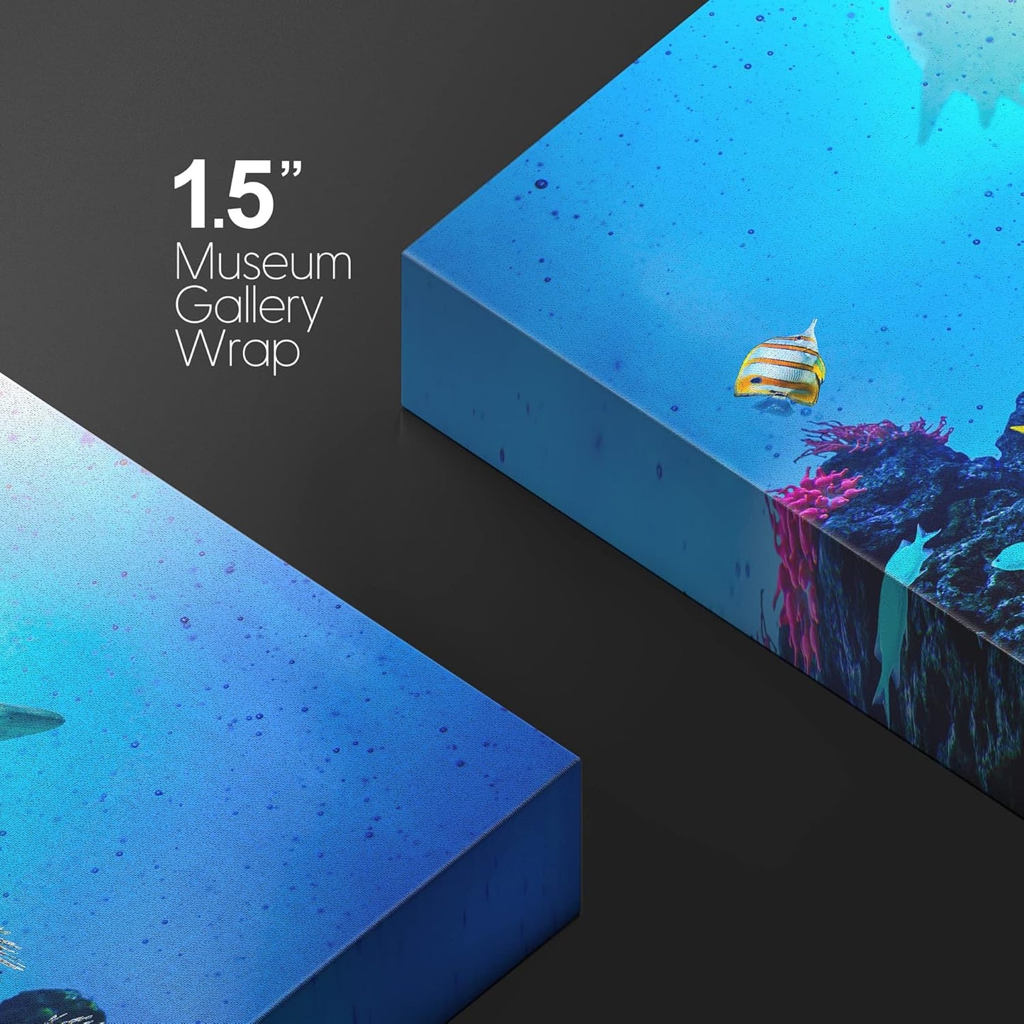 wall26 Canvas Print Wall Art Vibrant Coral Reef Shark Fish Anemone Reef Nature Animals Photography Realism Rustic Scenic Landscape Wilderness Earth for Living Room, Bedroom, Office - 16"x24"