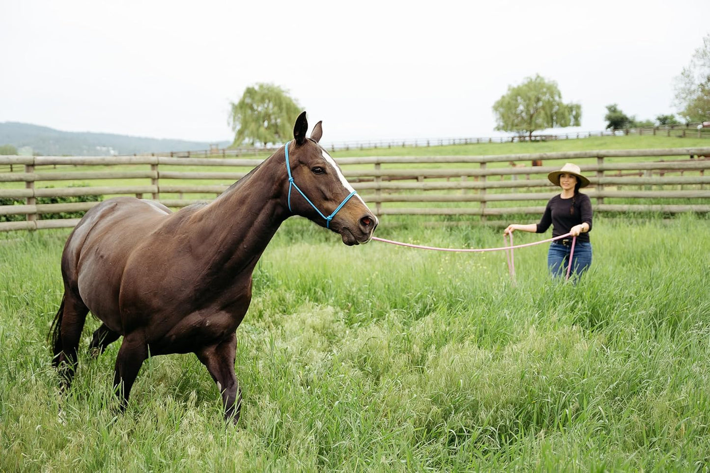 22' Long Line with SS O Ring and Carabiner (Beige)