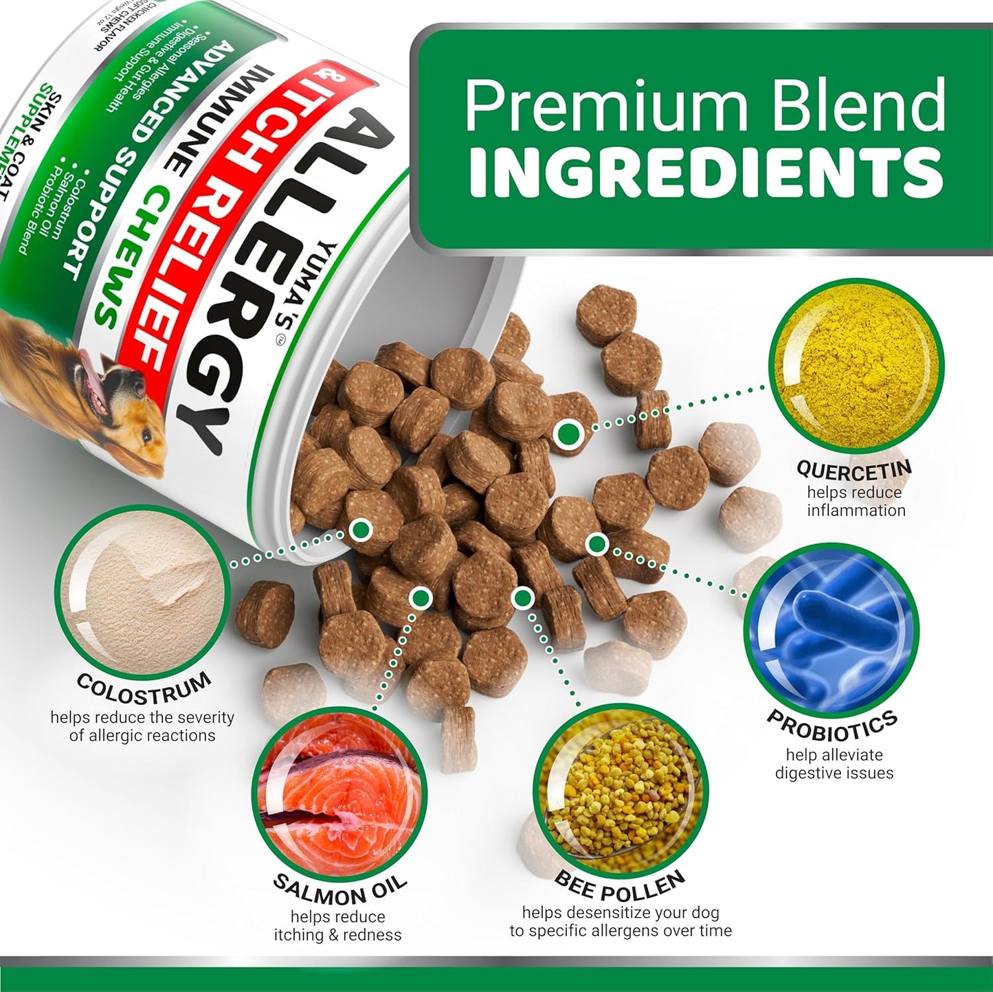 Dog Allergy Relief Chews - Dog Itching Skin Relief Treatment Pills - 170 Treats - Anti-Itch Chewables - Itchy and Paw Licking - Hot Spots - Omega 3 Fish Oil - Dry Skin & Coat Supplement