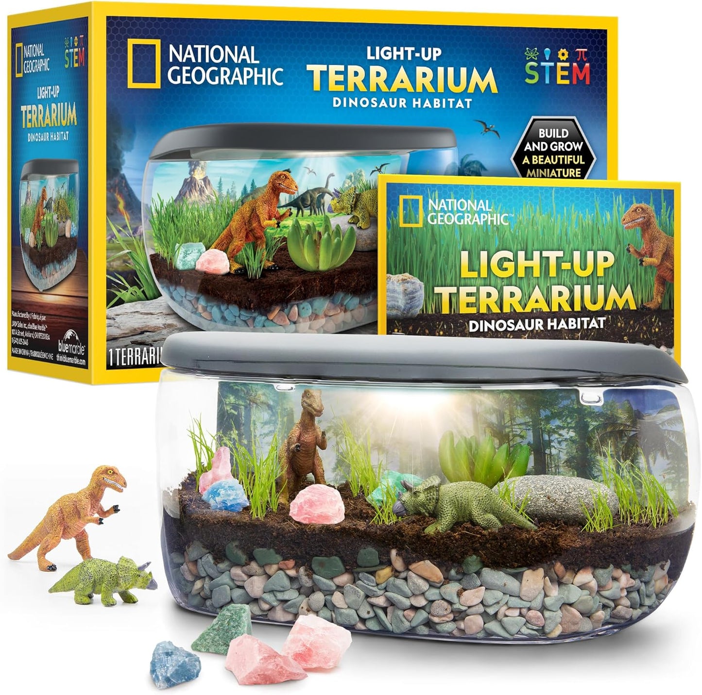 NATIONAL GEOGRAPHIC Light Up Terrarium Kit for Kids - Build a Dinosaur Habitat with Real Plants & Gemstones, Science Kit Gift for Boys & Girls, Dinosaur Toys for Kids (Amazon Exclusive)