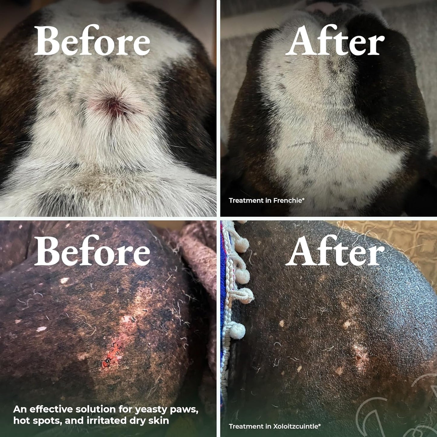 Dry Shampoo for Dogs – Antifungal Itchy Skin & Hot Spot Relief, Yeast Infection & Paw Licking Treatment, Dog Powder with Allergy Support