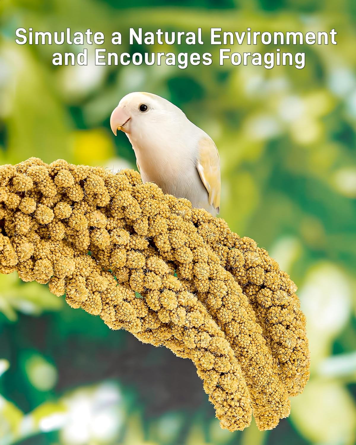 BUCATSTATE 2.2lbs Millet for Birds, Sun-Dried Parakeet Food for Parrot, Budgie, Cockatiel, Finches, Lovebird, GMO-Free Parakeet Treats (2.2lbs)