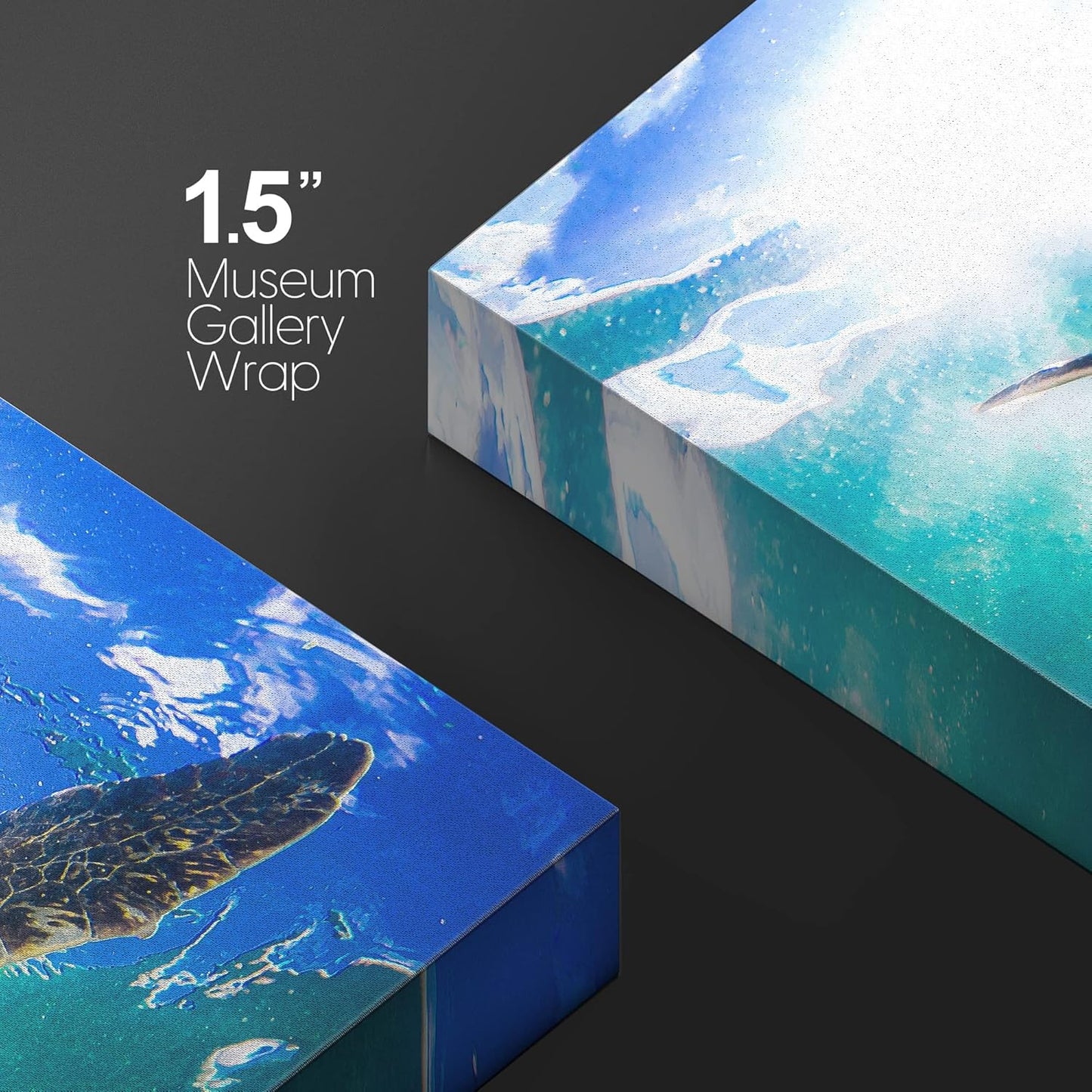 wall26 Canvas Print Wall Art Sunlight Tropical Ocean Underwater Turtle Nature Animals Photography Realism Rustic Scenic Landscape Wilderness Earth Colorful for Living Room, Bedroom, Office - 24"x36"