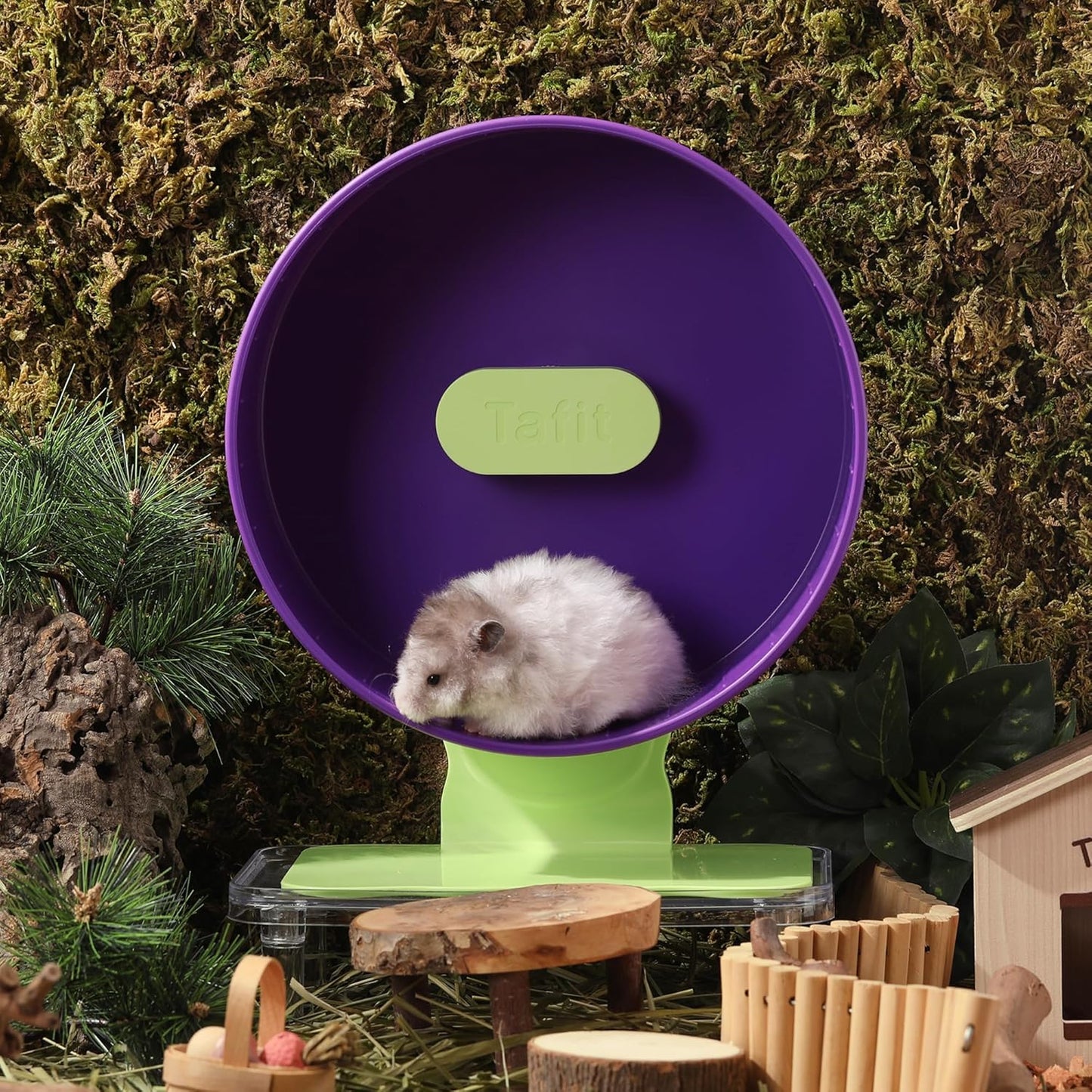 Silent Hamster Wheel 8.7 Inch Dual-Bearings Small Animals Quiet Running Exercise Wheels, Height Adjustable for Dwarf Hamsters, Gerbils, Mice, Hedgehog, or Other Small Pets, Grape Purple