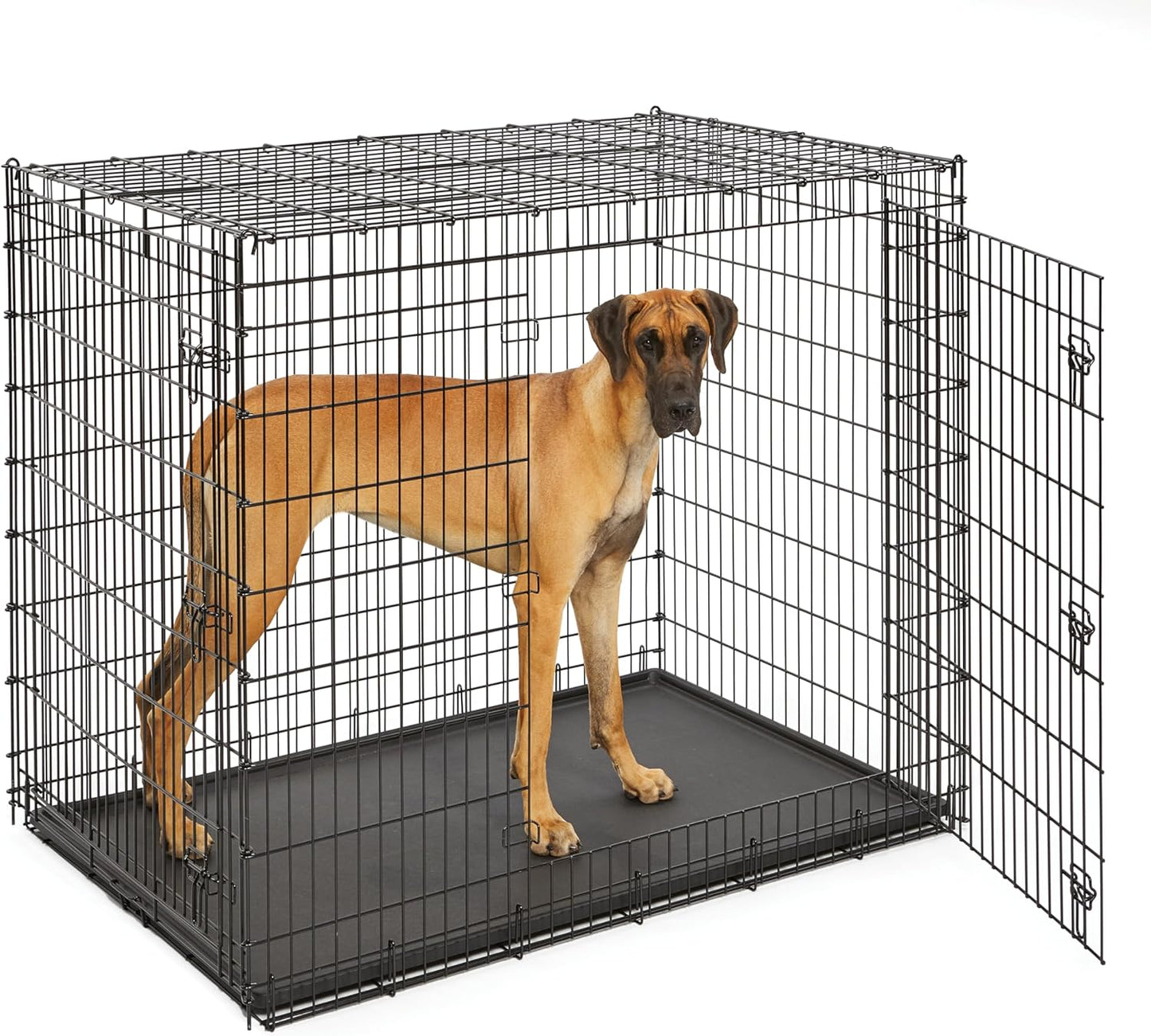 MidWest Homes for Pets Solutions Series XXL Double Door 54-Inch Dog Crate for the Largest Breeds, Sturdy Drop Pin Assembly, Black E-Coated, SL54DD