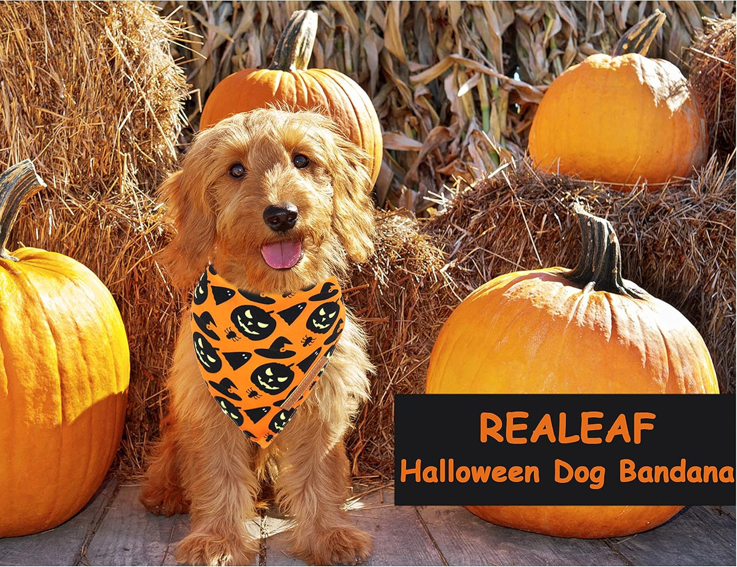 Realeaf Halloween Dog Bandanas 2 Pack, Pumpkin and Spider Web Bibs, Triangle Reversible Fall Pet Scarf, Premium Durable Fabric, Adjustable Fit (X-Large)
