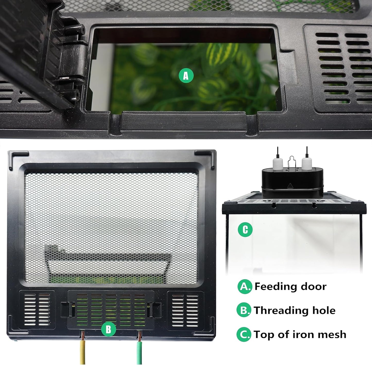 Mini Reptile Glass Terrarium Tank 8"x8"x12“ Full View with Front Opening Door and Enclosure Habitat Cage for Leopard Gecko Tarantula Young Lizard Hermit Crab Frog Insects Breeding Tank