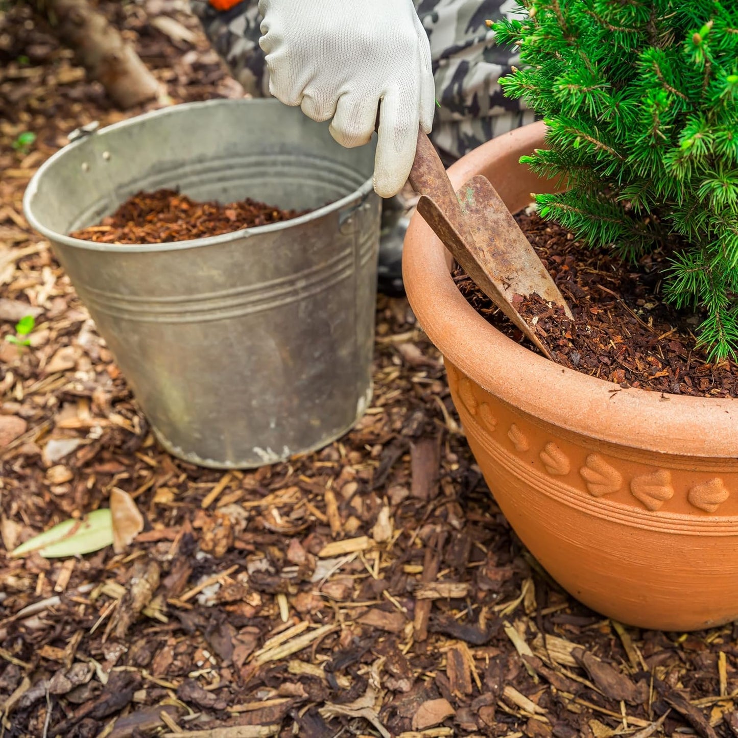 Premium Eucalyptus Wood Mulch for Indoor, Patio, Potting Media, Gardens, Lawns, and Landscaping (0.3 CF - 8 L - 9 QTS)