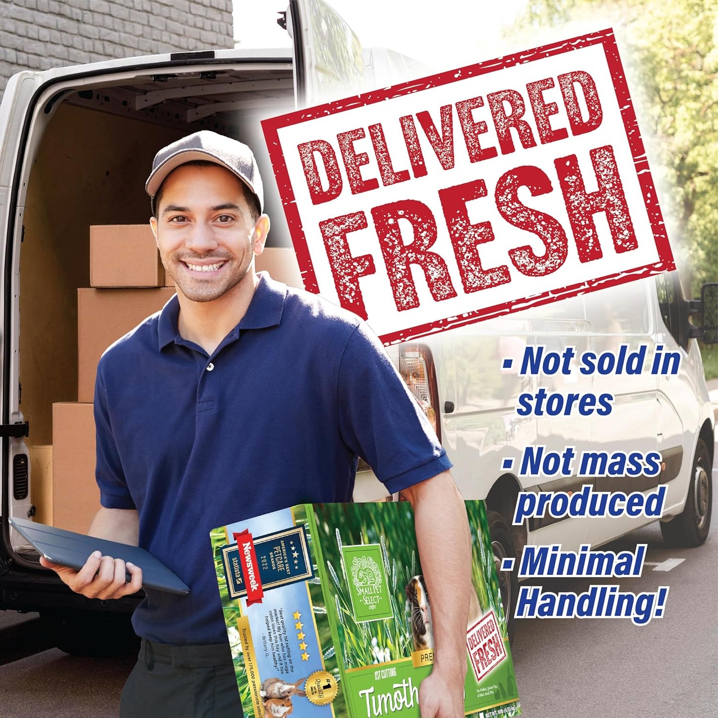 Small Pet Select 1st Cut Timothy Hay Pet Food for Rabbits, Guinea Pigs, and Other Small Animals, Easy to Store Box, 10 LB